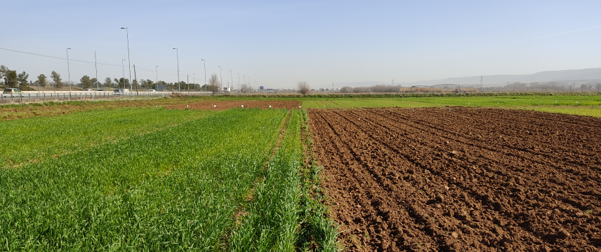 agricultural land in spain 856x360 0